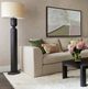 Dovetail Furniture Orin Black Floor Lamp-1