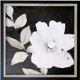 Stylecraft With Love it Grows Black/Light Gray/White Wall Art -0