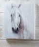 Giftcraft White Horse Wall Print-0
