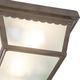 YHD Dark Brown Finish Fluorescent Exterior Lighting-3