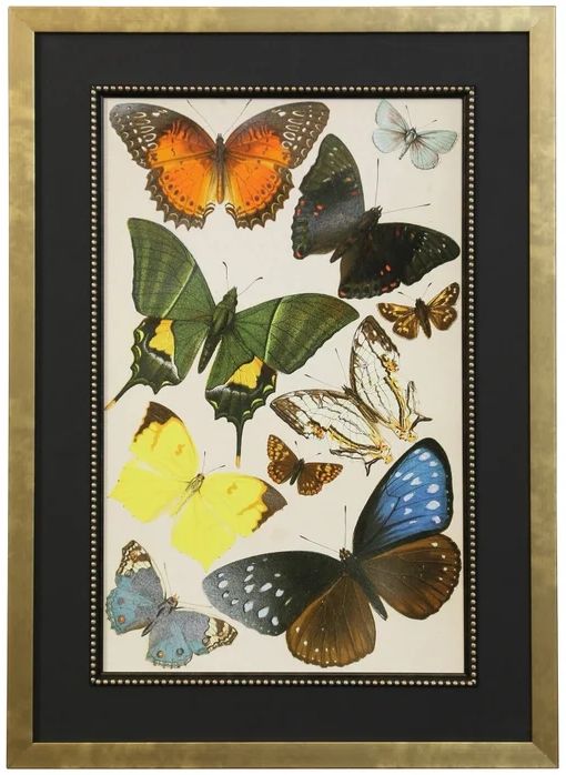 Stylecraft Butterfly II Wall Art-0