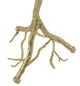 A & B Home Black/Gold Dita Feather Floor Lamp-4