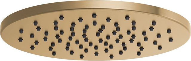 Brizo Essential™ Brilliance® Luxe Gold® 12" Linear Round Soothing Spray Single-Function Raincan Shower Head-0