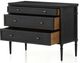 Magnolia Home by Joanna Gaines Gabrielle Distressed Black Chest-4