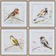 Crestview Collection Dupree 4-Piece Wall Art Set-0
