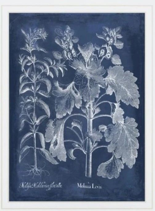 Classy Living Vision Studio Besler Leaves in Indigo I Wall Art-1