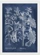 Classy Living Vision Studio Besler Leaves in Indigo I Wall Art-1