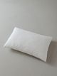 SlumberShield® Imperial Queen Pillow-1