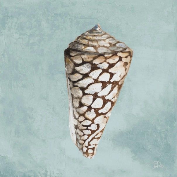 Classy Art Modern Shell on Teal II by Patricia Pinto Wall Art-0