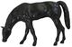 A & B Home Grazing Black Candle Holder-0