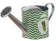 A & B Home Abington Green/SilverWhite Asparagus Watering Can-1