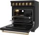 Thor Kitchen 30" Black Pro Style Electric Range with Precision Knob Control & Bronze Hardware-4