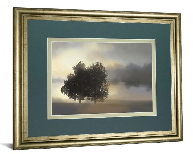 Classy Art Misty Morning by Nan Framed Wall Art-1