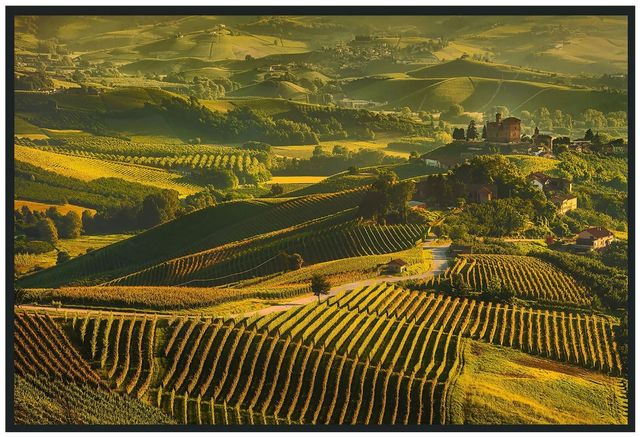 Classic Home Vinyard Photography Wall Art-0