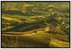 Classic Home Vinyard Photography Wall Art-0
