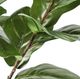 A & B Home Green 59" Artificial Potted Fiddle-Leaf Tree-1