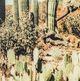 YHD Saguaro Wall Art-2
