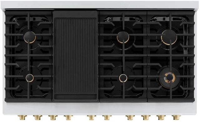 ZLINE Autograph Edition Paramount 48" Stainless Steel Pro Style Gas Range with Black Matte Door and Champagne Bronze Accents-3