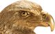 Crestview Collection Eagle Gold Head Statue-1