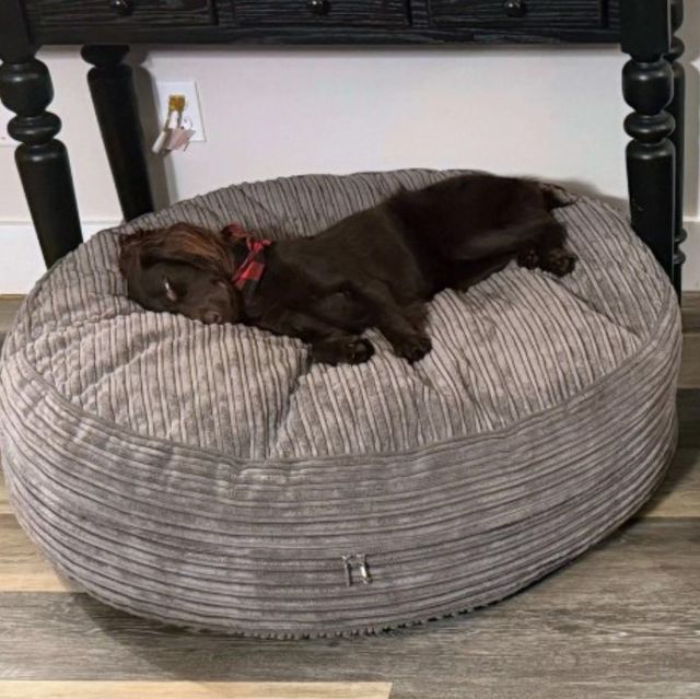 CordaRoy's® Forever Dark Gray Terry Corduroy 40" Dog Bed-1