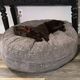 CordaRoy's® Forever Dark Gray Terry Corduroy 40" Dog Bed-1