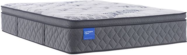 Sealy® Carrington Chase Colbalt 15" Wrapped Coil Plush Euro Pillow Top Queen Mattress-0