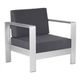 Zuo Modern Cosmopolitan Dark Gray Arm Chair-0