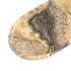A & B Home Ophilia Beige/Black Hand-Carved Zebra Onyx Bowl-1