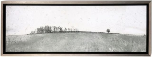 Stylecraft Distant Trees Black/Gray Wall Art-0