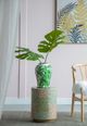 A & B Home Urn Green Lovise Palm Lidded Jar-4