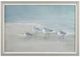 Uttermost® Danhui Nai Tranquil Shorebirds on the Sand Framed Print-0