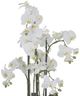 K & K Interiors 33" Orchid with Faux Moss in Matte Black Pot-1
