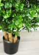 Le Present Green 27.5" Faux Botanical Boxwood Tree-5