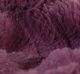 A & B Home Purple 51"x67" Chenille Throw Blanket-1