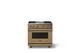 Viking® 5 Series 36" Golden Hour Pro Style Gas (LP) Range with Brushed Brass Trim-3