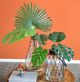 A & B Home Green Monstera Leaf-4