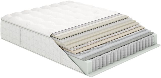 Aireloom® Preferred Luxetop™ 15.5" Wrapped Coil M2 Plush Euro Top Split California King Mattress, Includes 2 Pieces-2