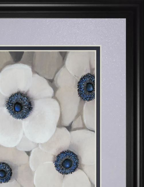 Classy Art Anemone II By Tim O'Toole Wall Art-1