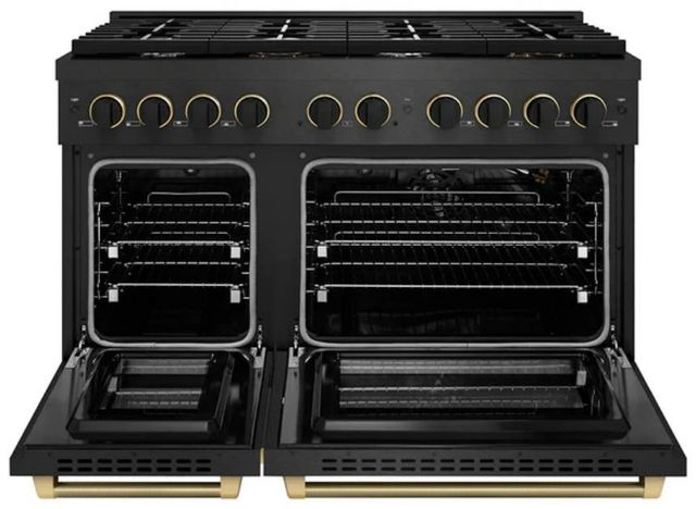 ZLINE Designer Collection Paramount 48" Black Satin Stainless Steel Gas Range with 8 Burner Cooktop and Convection Gas Oven-1
