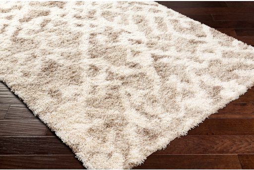 Surya Ultra Shag Beige/Off-White 5'x7' Area Rug-4