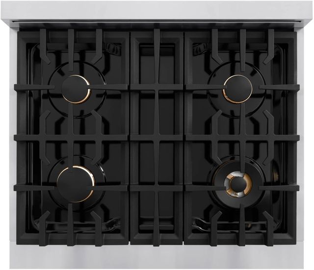 ZLINE Classic 30" Stainless Steel Pro Style Dual Fuel Range-3
