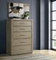 Riverside Furniture Pasadena Casual Taupe 5-Drawer Chest-1