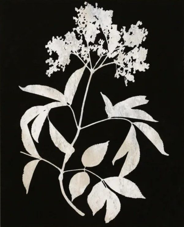 StyleCraft Nature White on Black Wall Art-2