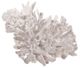 A & B Home White 7" Faux Coral Decorative Object-0