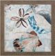 Stylecraft Driftwood Shell Collage Beige/Blue/Brown Wall Art-0