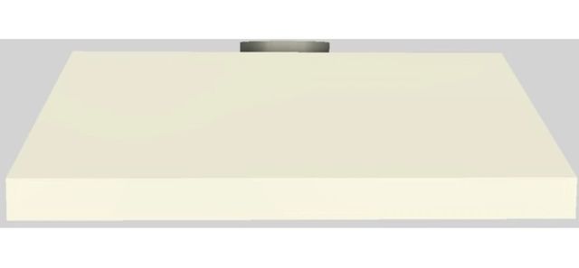 Vent-A-Hood® 42" Biscuit Wall Mounted Liner Insert-0