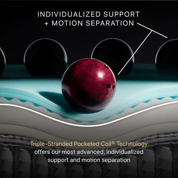 Beautyrest Black Motion Separation and Comfort Beautyrest Black Motion Separation and Comfort
