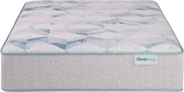Beautysleep® Dream Weaver™ 13.75" Pocketed Coil Plush Quilted Tight Top Twin Mattress-2