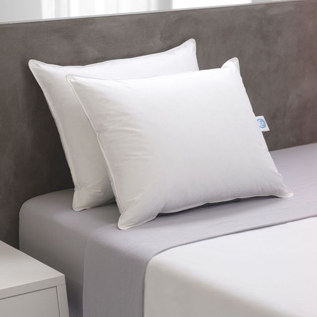 Concept ZZZ White King Prime Feather Fiber Pillow-4