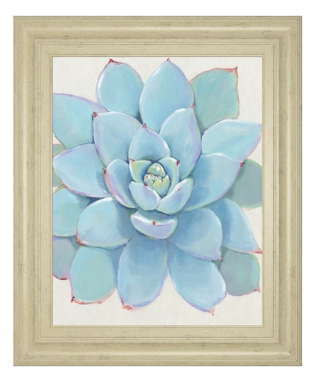 Classy Living Tim OToole Pastel Succulent I Wall Art-0
